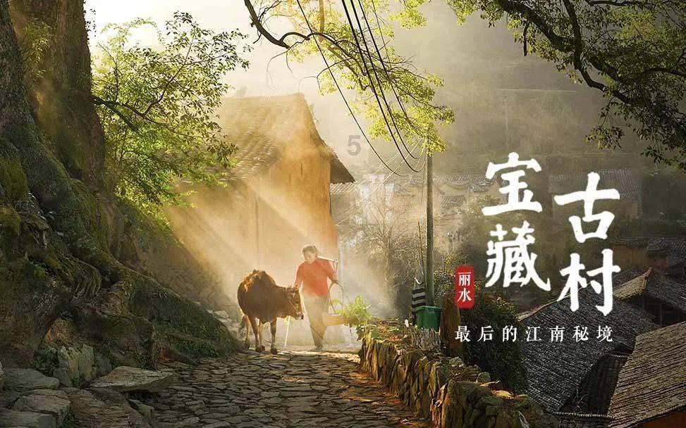 蛇蛇争霸